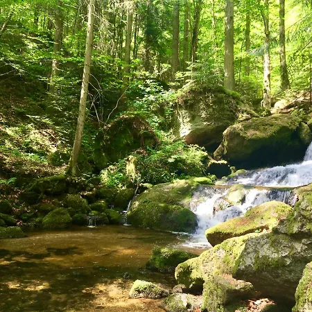 Wirtshausbrennerei Krenn Отель