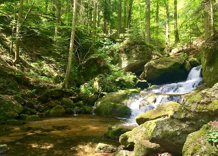 Wirtshausbrennerei Krenn מלון